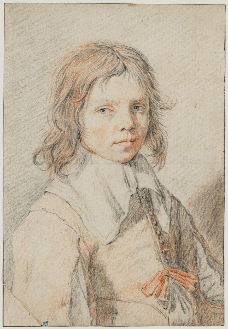Ritratto di ragazzo da Jan de Bray