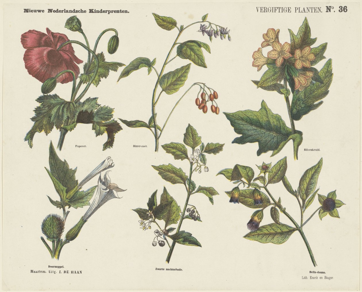 Piante velenose (titolo sull