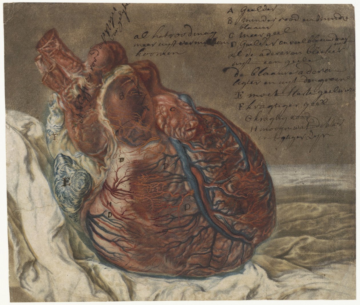 Stampe del cervello e del cuore da Jan l