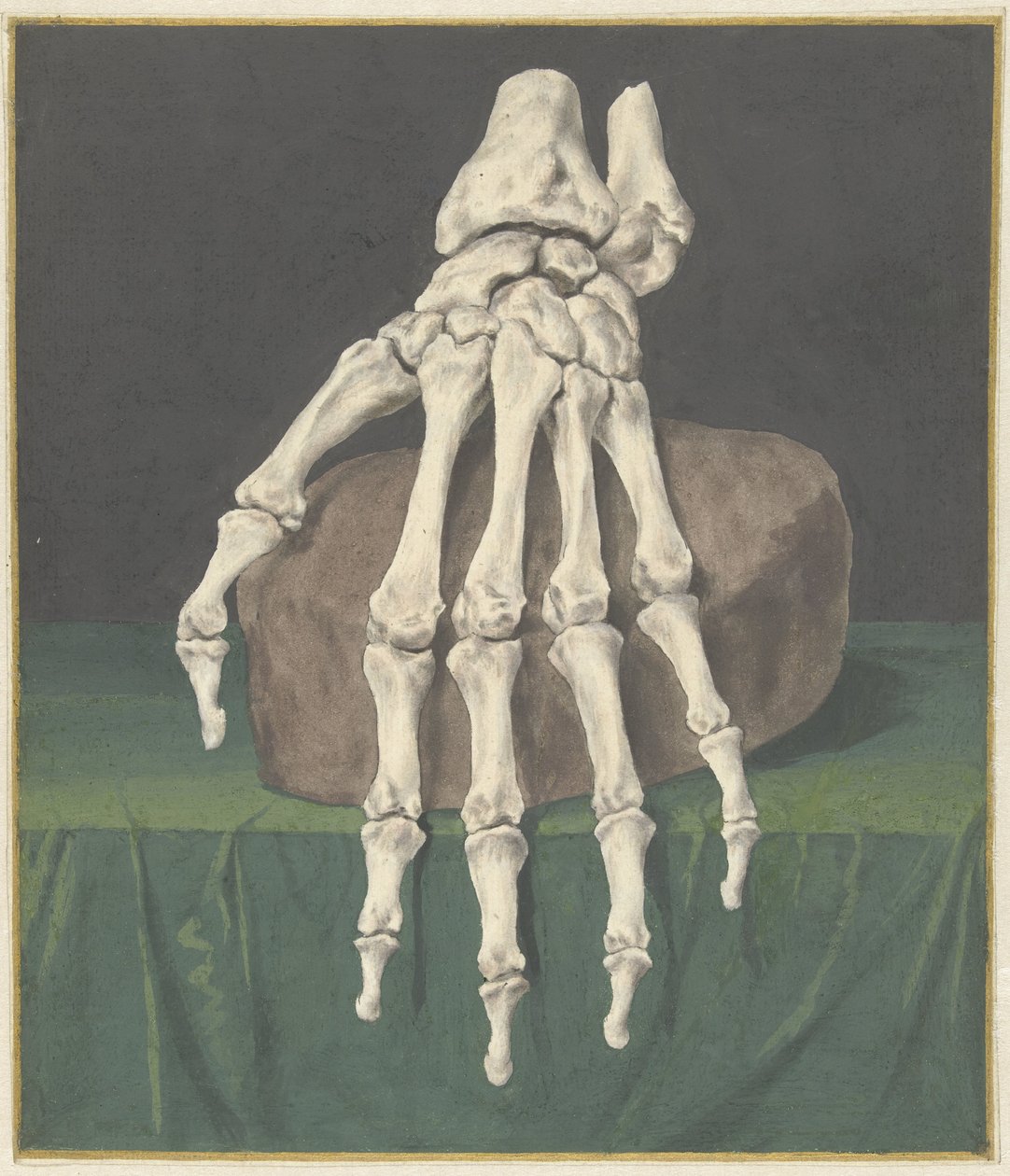 Scheletro di una mano da Jan l