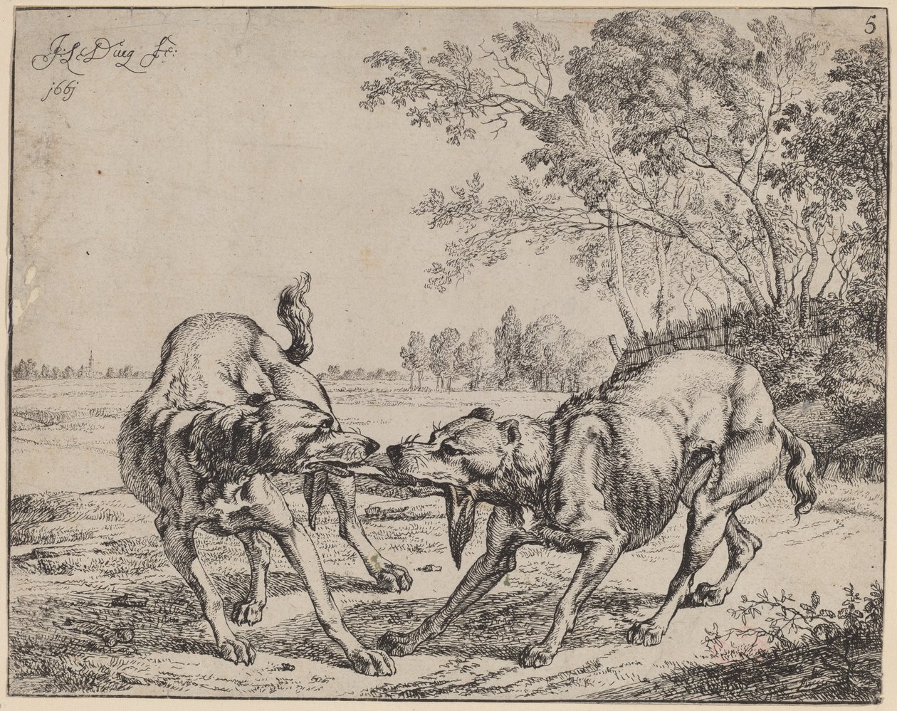 La carne contesa da Jan le Ducq