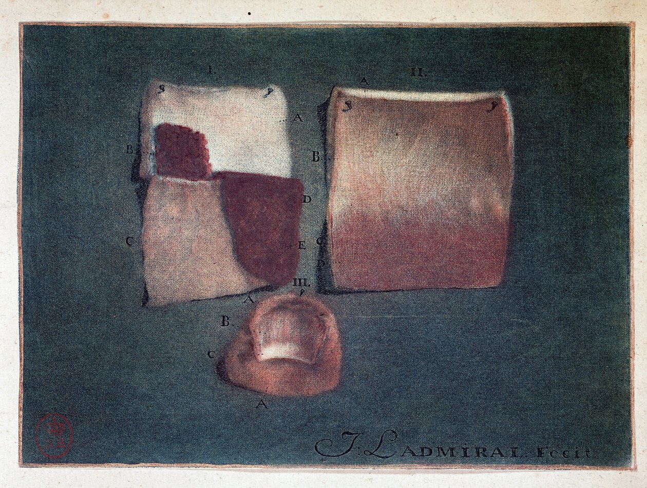 Diversi colori della pelle, Ladmiral da Jan or Joannes Ladmiral