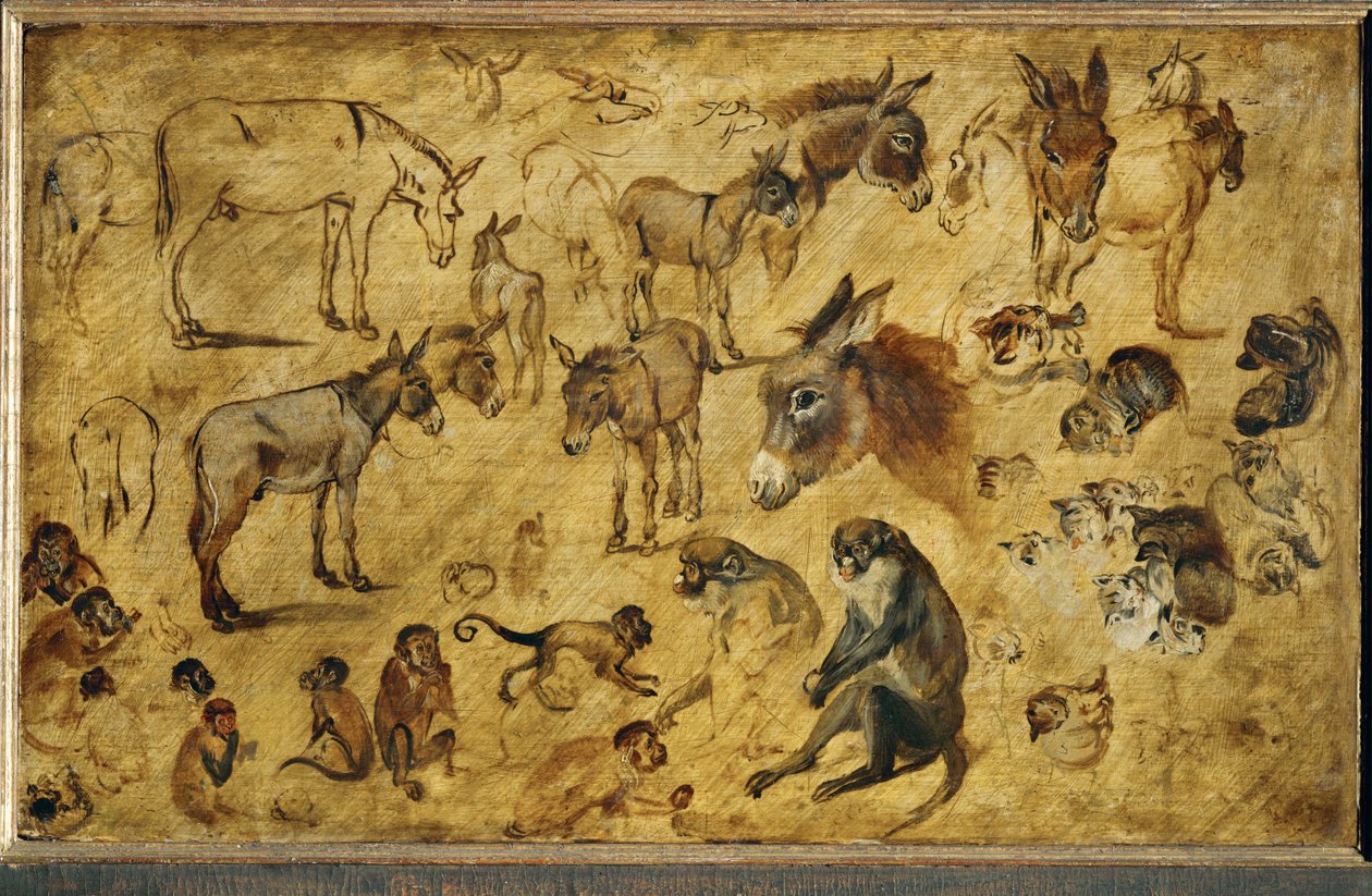 Studi sugli animali (pittura su legno di quercia) da Jan the Elder Brueghel