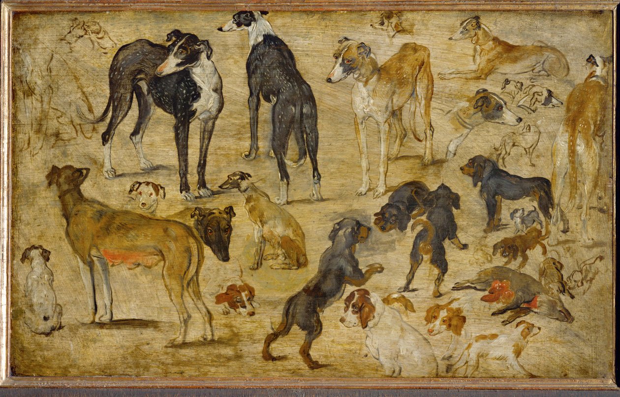 Studi sugli animali (pittura su legno di quercia) da Jan the Elder Brueghel