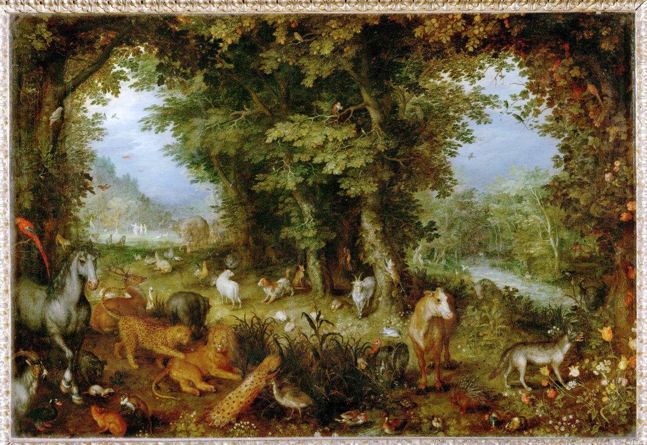 Le Paradis terrestre - Il paradiso terrestre ... da Jan the Elder Brueghel