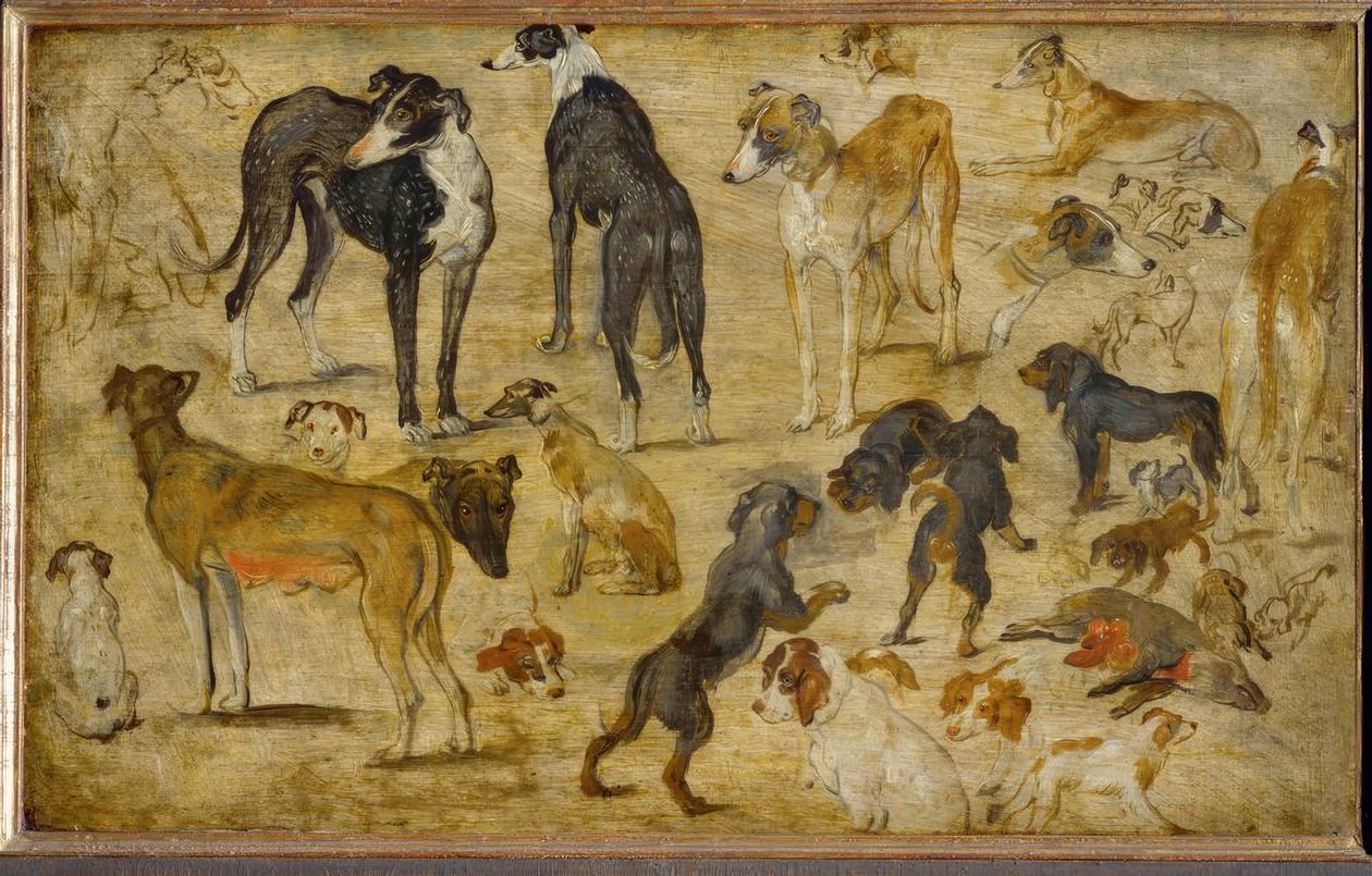 Studi di animali da Jan the Elder Brueghel