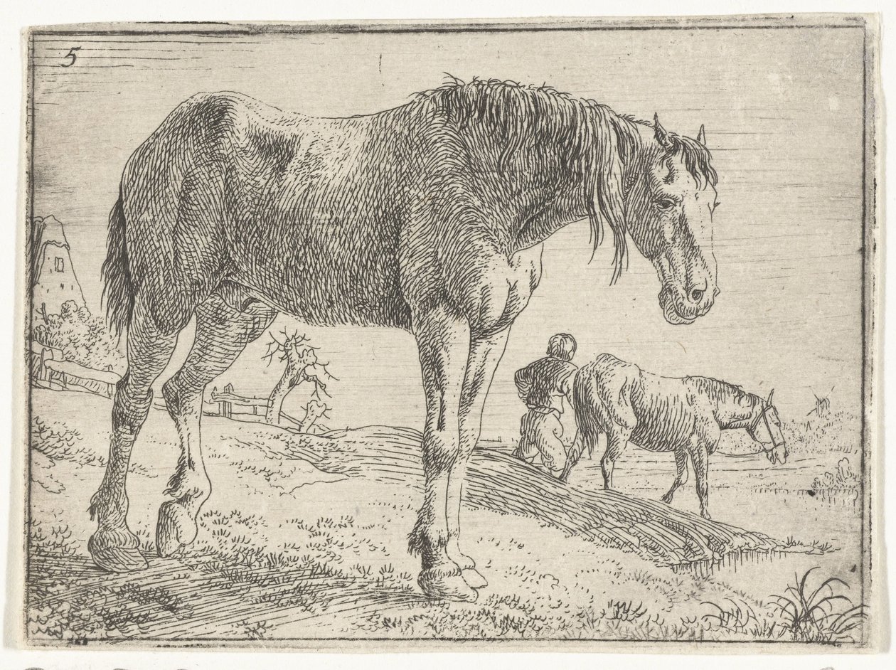 Cavallo in piedi (titolo della serie) da Jan van Aken