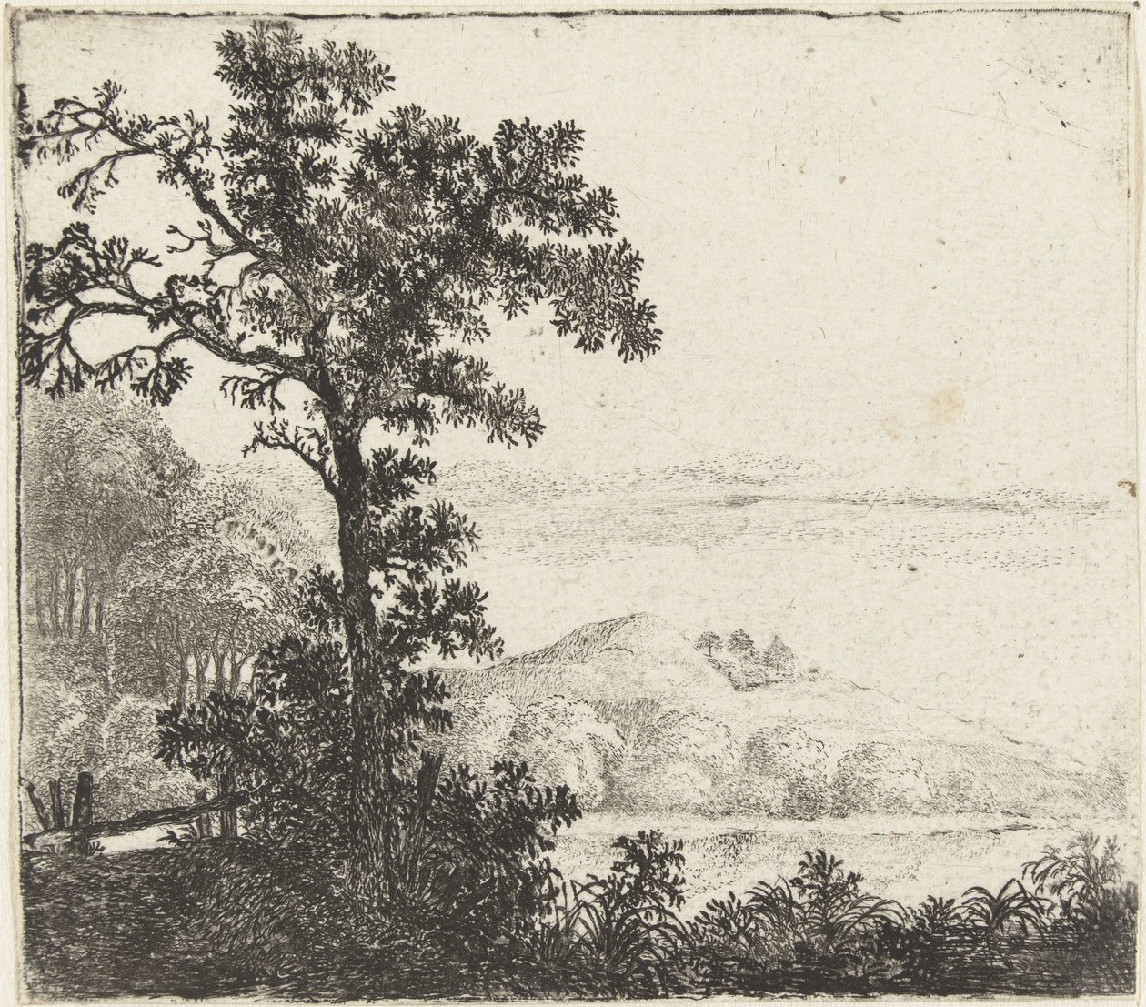 Paesaggio con albero vicino a una riva del fiume da Jan van Brosterhuyzen