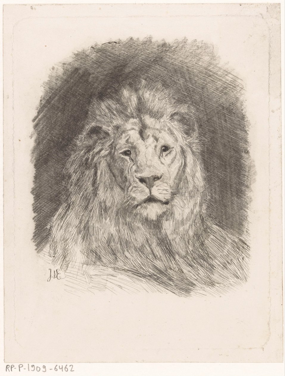 Testa di leone da Jan van Essen