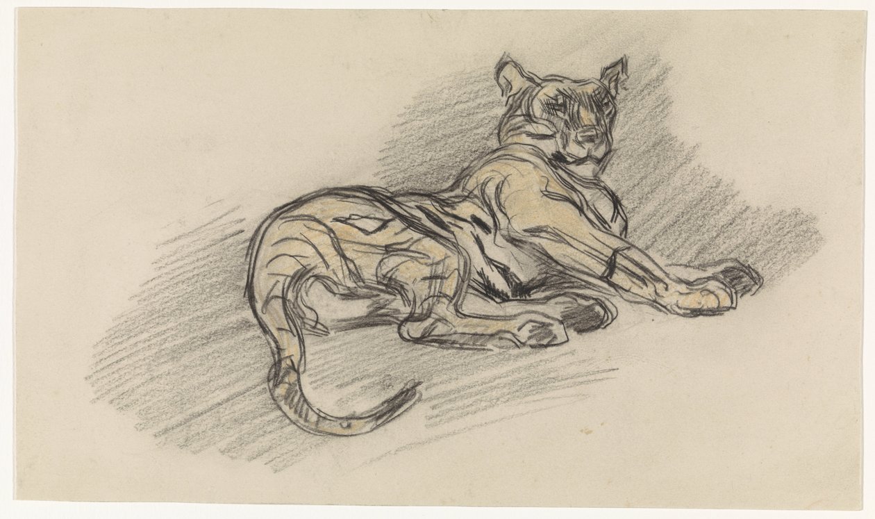 Tigre sdraiata, verso destra da Jan van Essen