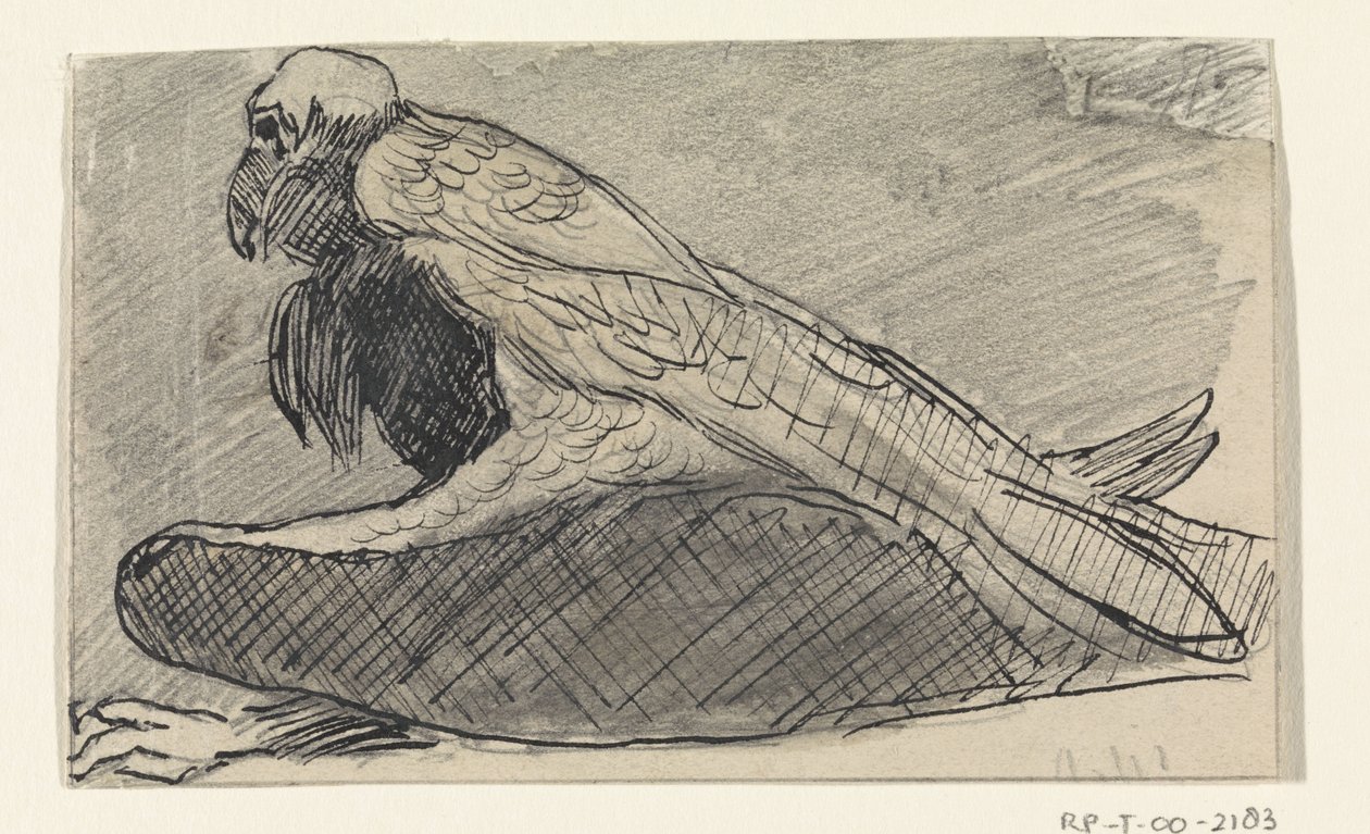 Avvoltoio seduto da Jan van Essen