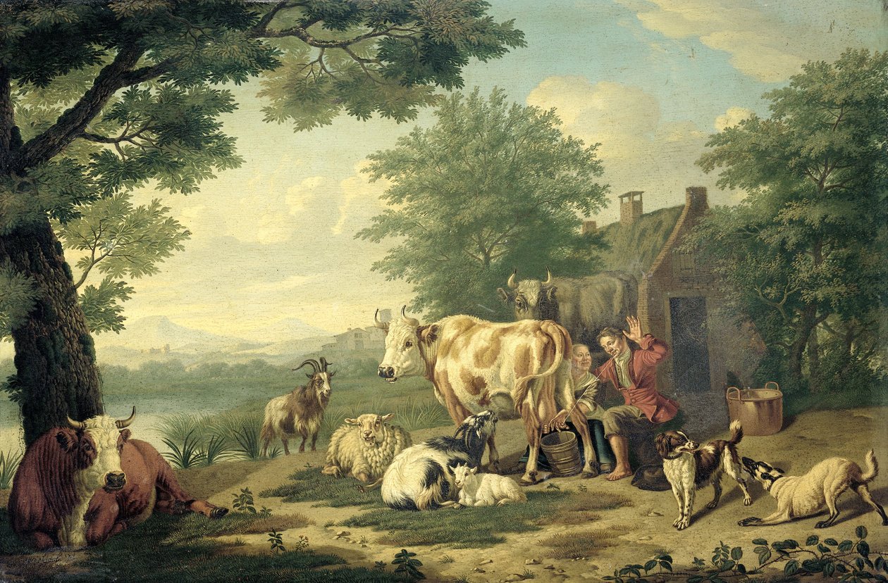  da Jan van Gool