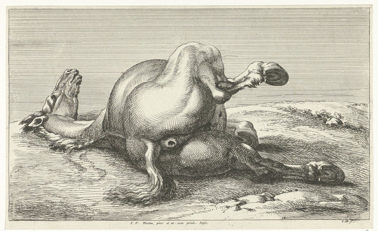 Cavallo caduto da Jan van Huchtenburg