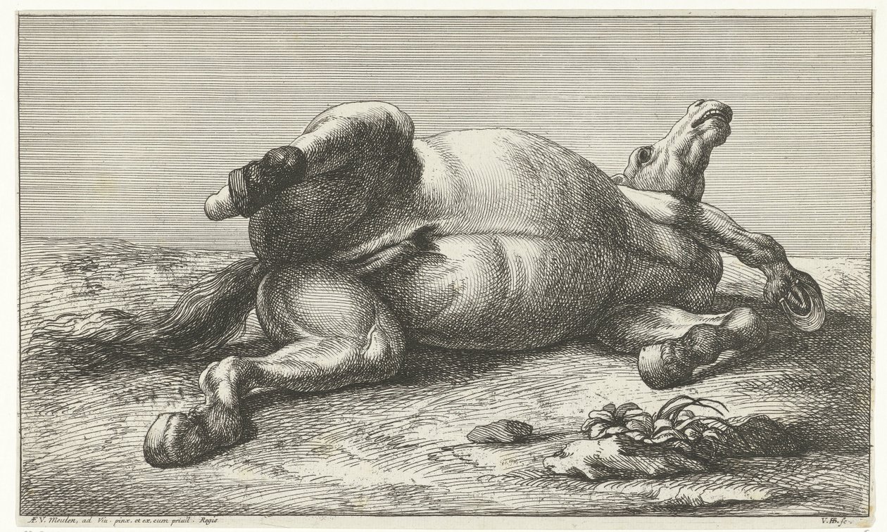 Cavallo caduto sdraiato sul fianco sinistro da Jan van Huchtenburg