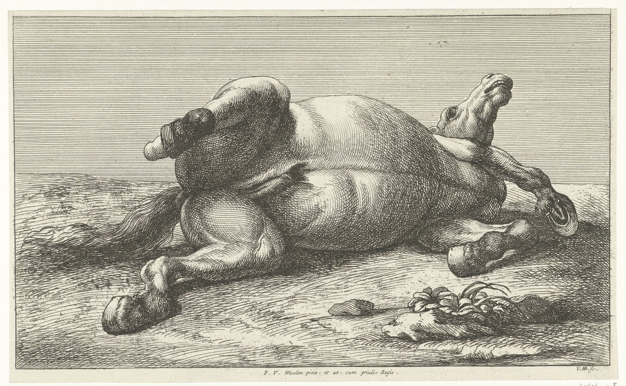 Cavallo caduto sdraiato sul fianco sinistro da Jan van Huchtenburg