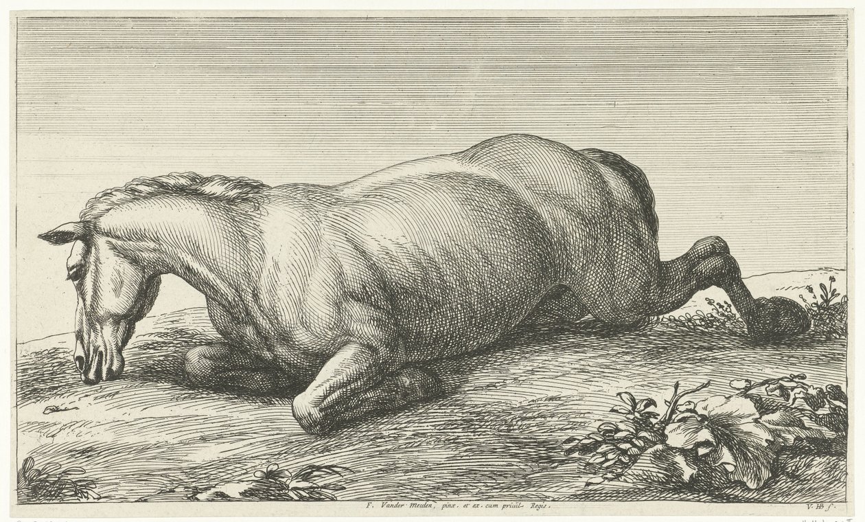 Cavallo caduto sdraiato sul ventre (Cavalli caduti) da Jan van Huchtenburg