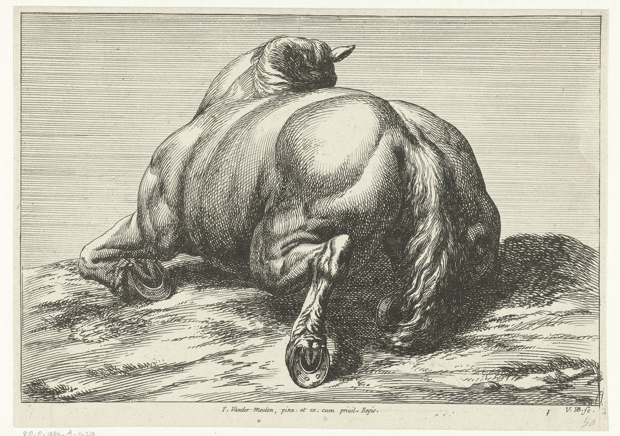 Cavallo caduto visto da dietro da Jan van Huchtenburg