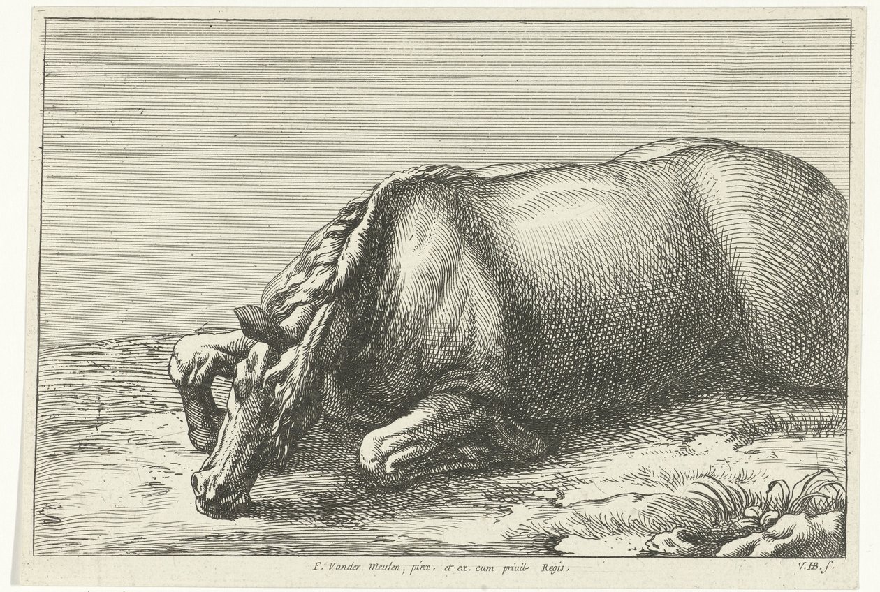 Cavallo caduto visto sul fianco sinistro (Gesneuvelde paarden) da Jan van Huchtenburg