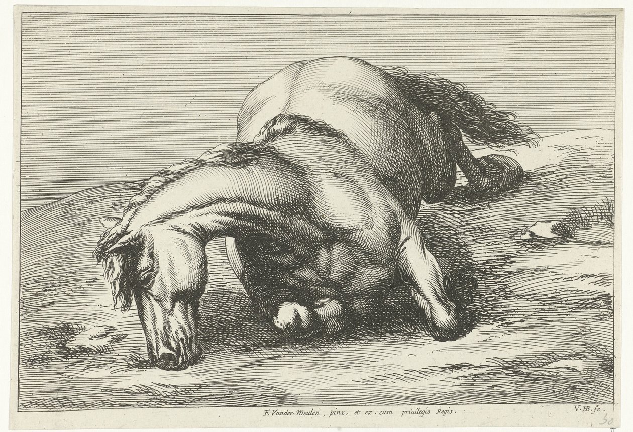Cavallo caduto sul fianco destro da Jan van Huchtenburg
