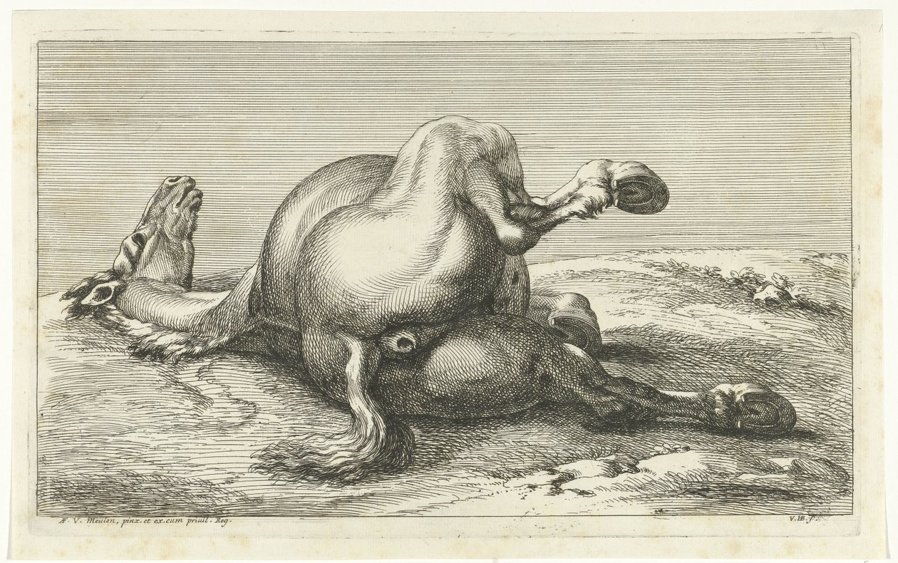 Cavallo caduto visto da dietro da Jan van Huchtenburg