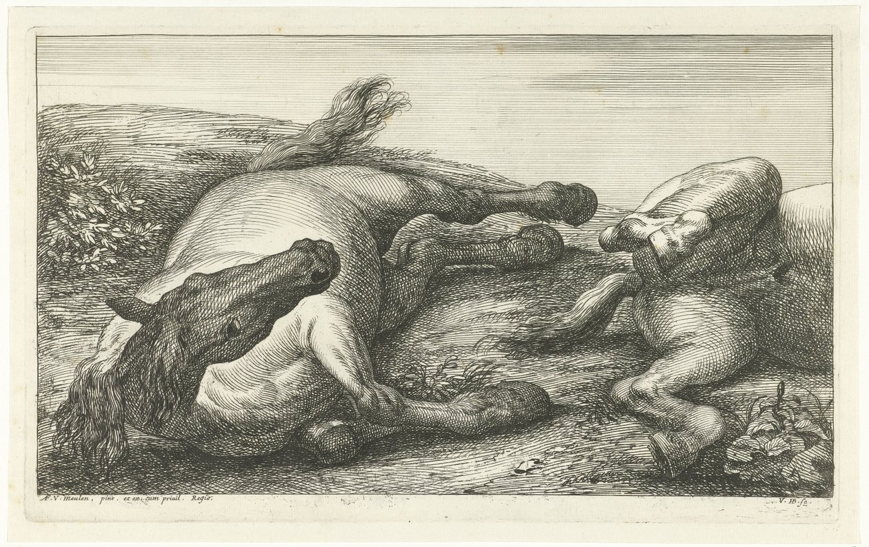 Due cavalli caduti, di cui uno visto di fronte da Jan van Huchtenburg