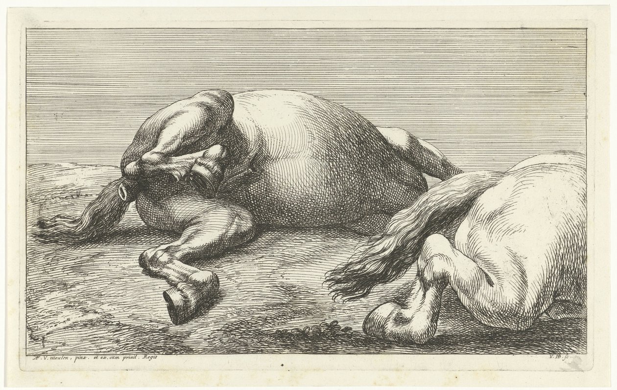 Due cavalli caduti, di cui uno visto di lato da Jan van Huchtenburg