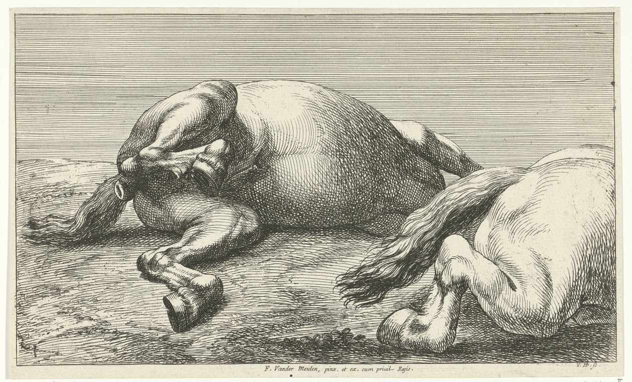 Due cavalli caduti, di cui uno visto di lato da Jan van Huchtenburg