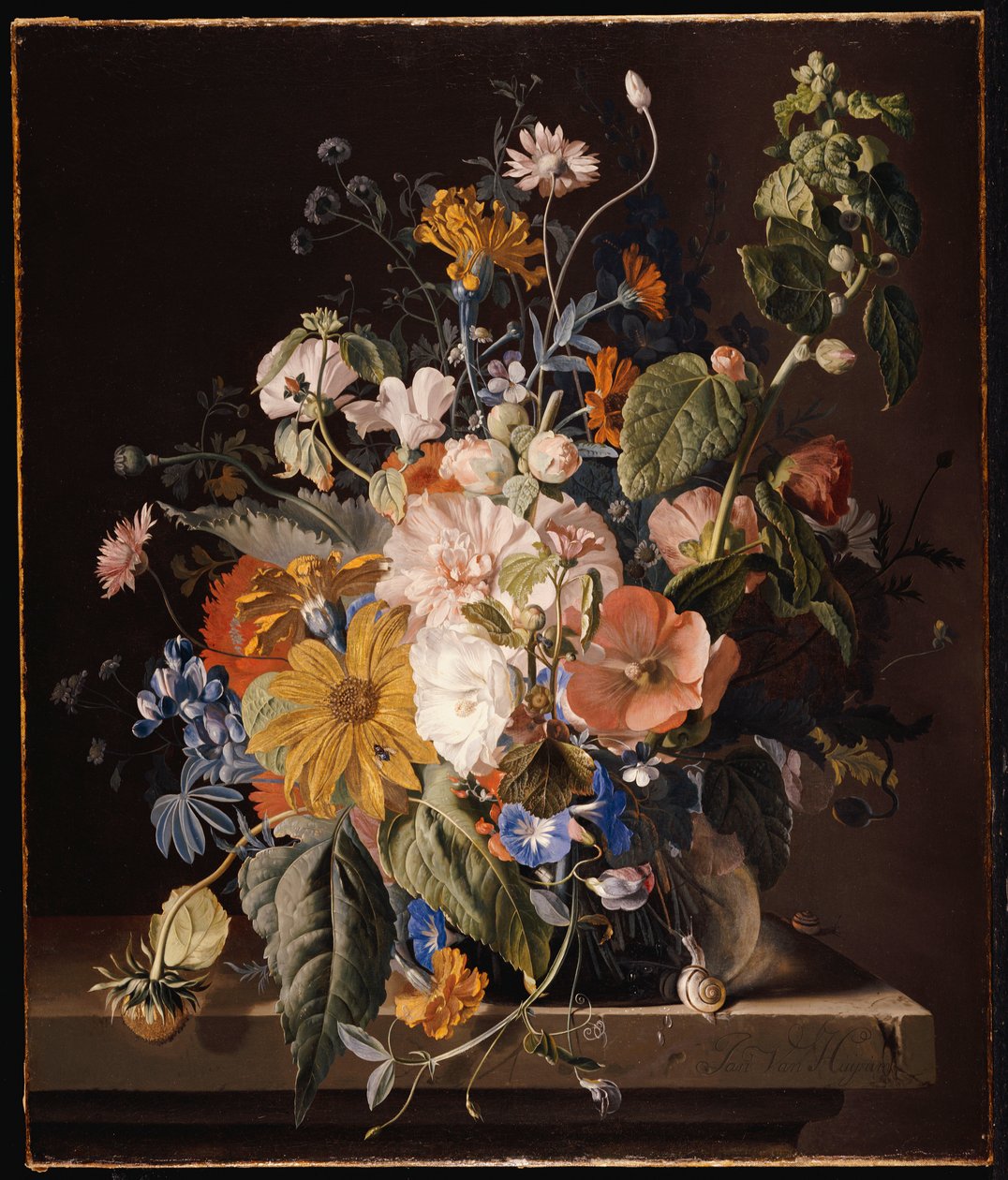 Papaveri, Altea, Gloria del Mattino, Viola, Margherite, Piselli odorosi, Calendule e altri fiori in un vaso con una lumaca su un cornicione da Jan van Huysum