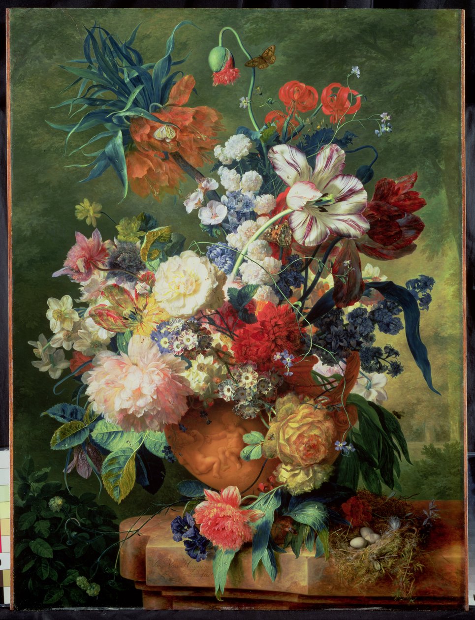 Natura morta di fiori e nido d