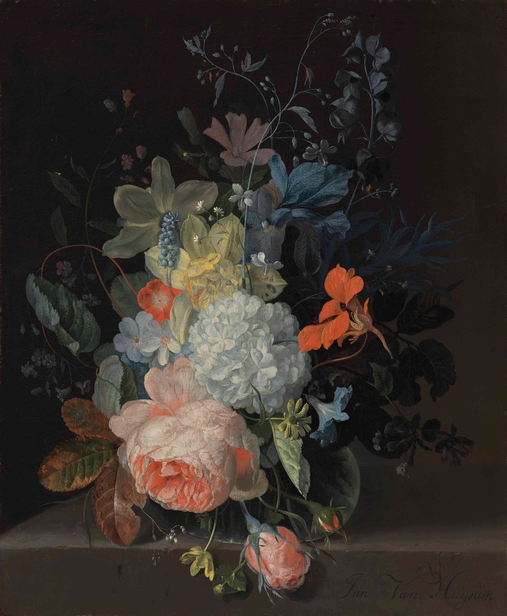 Vaso di fiori su un davanzale, con una rosa, una palla di neve, narcisi e iris da Jan van Huysum