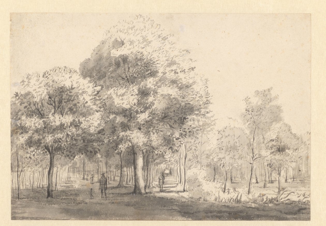 Veduta del Haarlemmerhout, Haarlem da Jan van Kessel (attributed to)