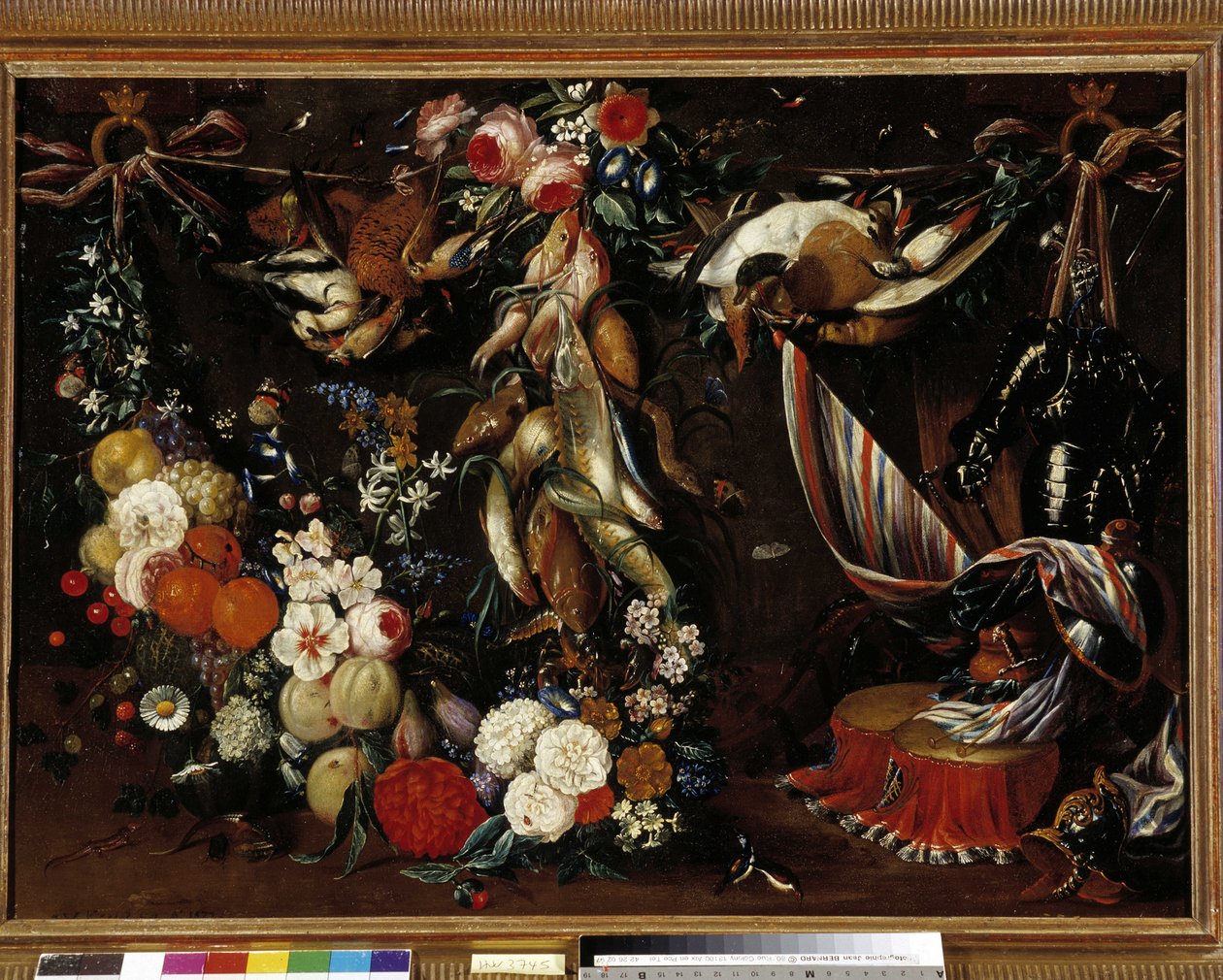 I quattro elementi da Jan van Kessel
