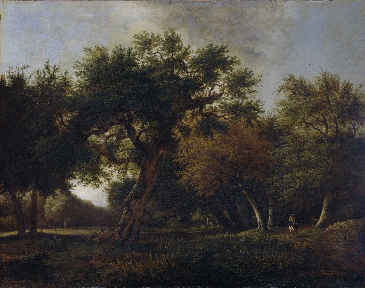 Veduta nel bosco da Jan van  Kessel