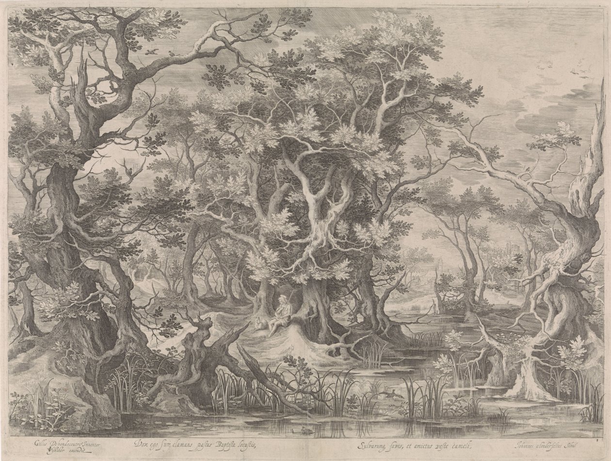 San Giovanni Battista che prega in un paesaggio paludoso da Jan van Londerseel