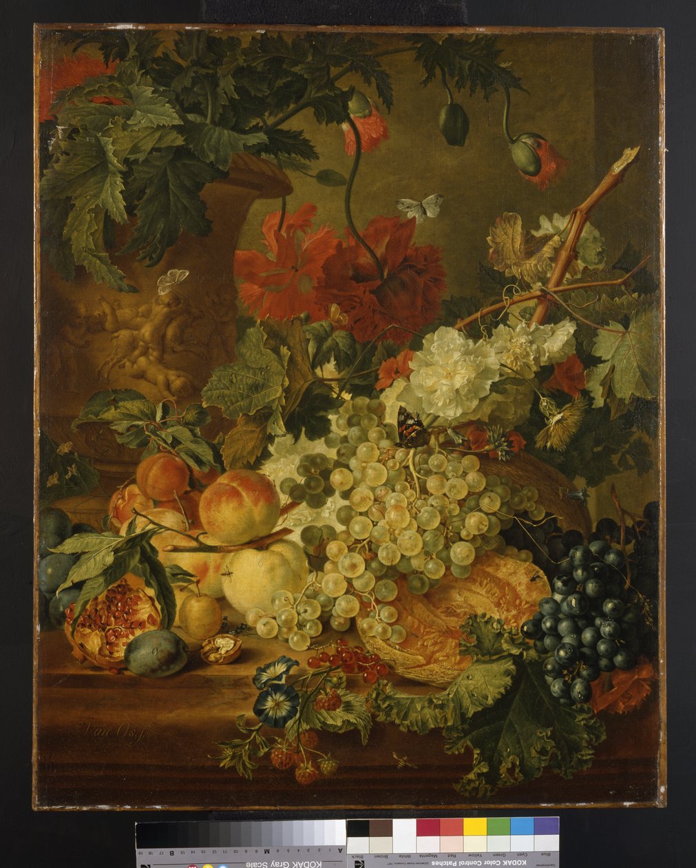 Frutta e Fiori, dopo J. van Huysum da Jan van Os