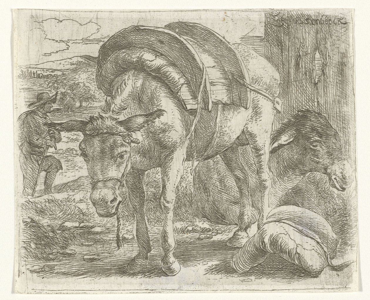 Asino da soma da Jan van Ossenbeeck