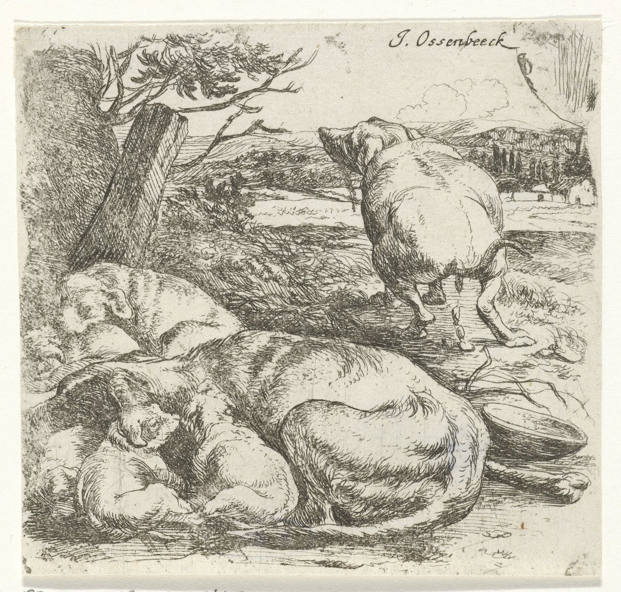 Cagnolina con cuccioli da Jan van Ossenbeeck