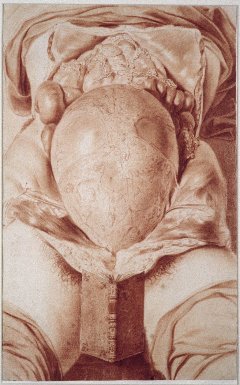 Disegno dalla 
