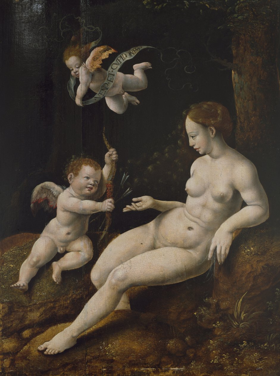 Venere e due Cupidi, c.1528 da Jan van Scorel
