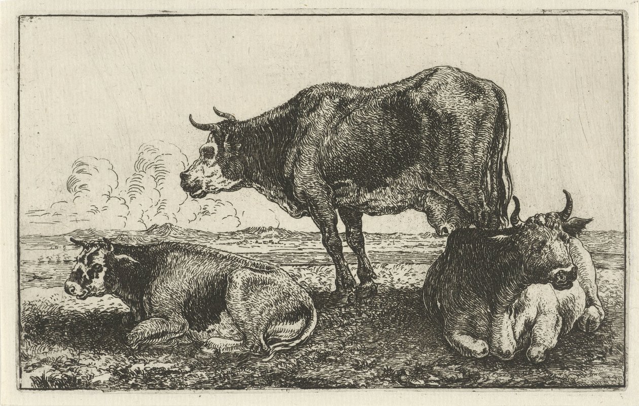 Tre mucche da Jan van den Hecke