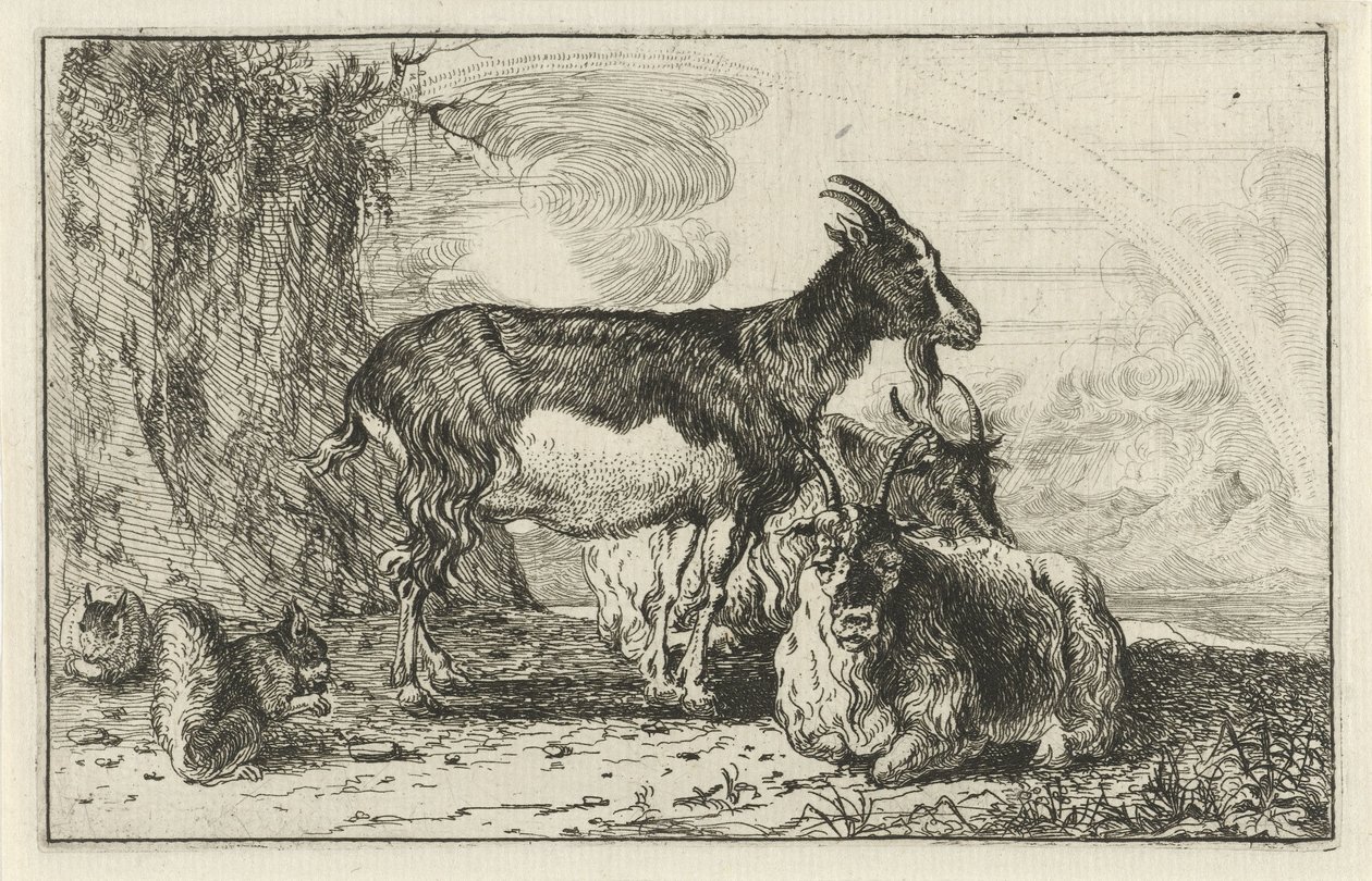 Capre da Jan van den Hecke