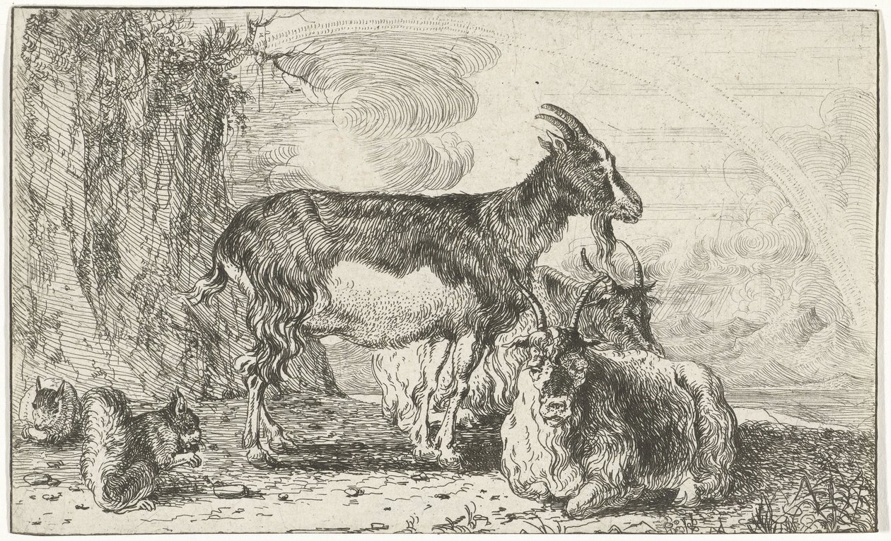 Capre da Jan van den Hecke