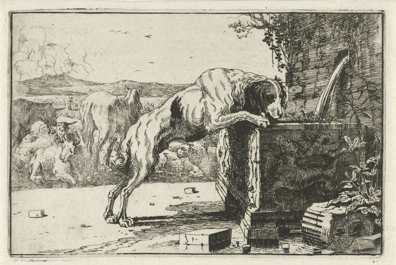 Cane presso una fontana da Jan van den Hecke