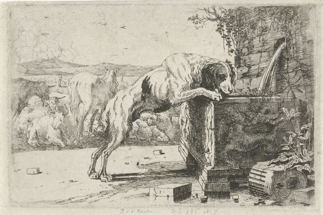Cane presso una fontana da Jan van den Hecke