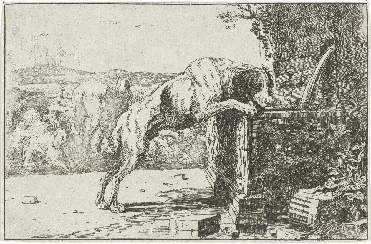 Cane presso una fontana Dieren (titolo della serie) Zoographiam (titolo della serie) da Jan van den Hecke