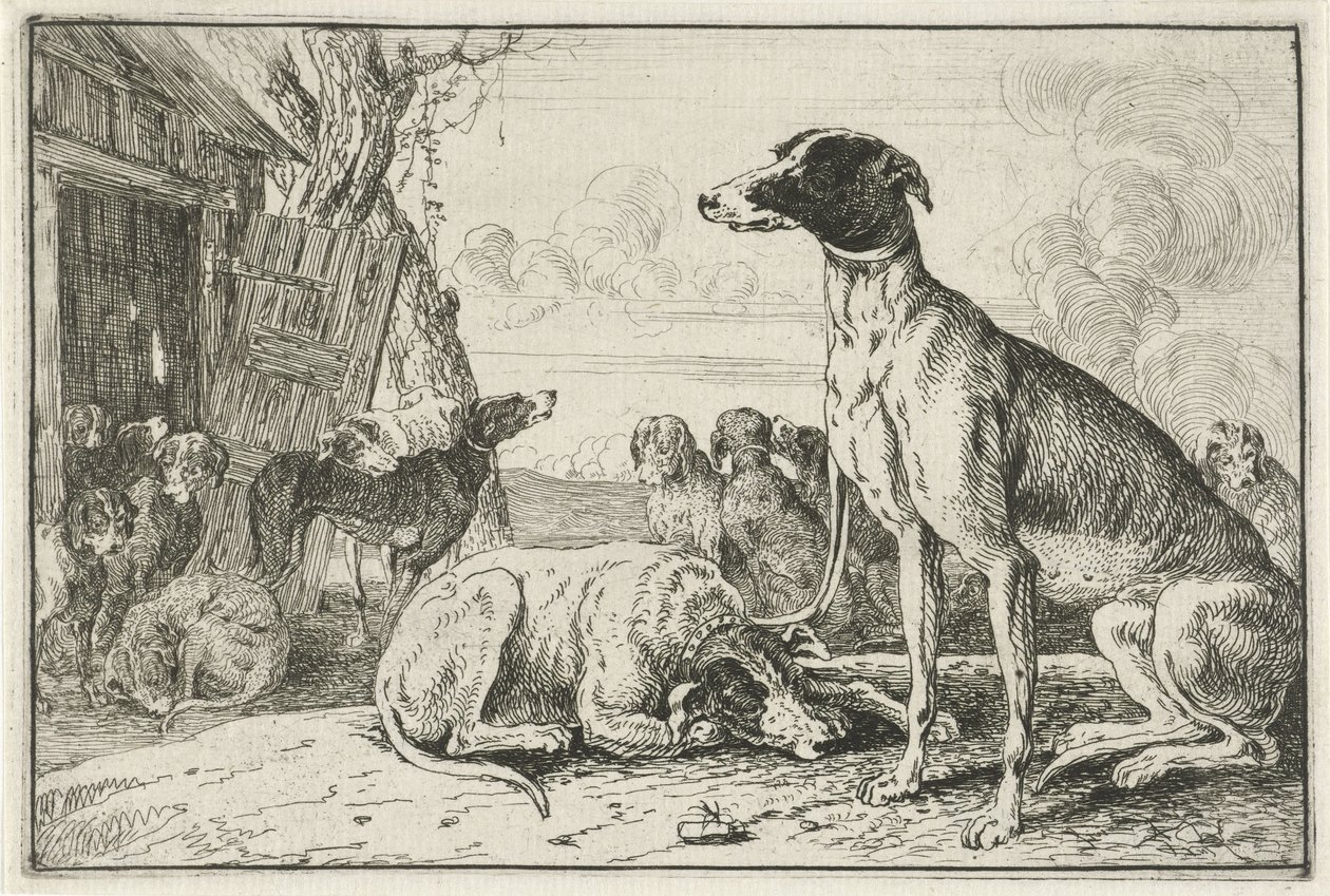 Canile da Jan van den Hecke