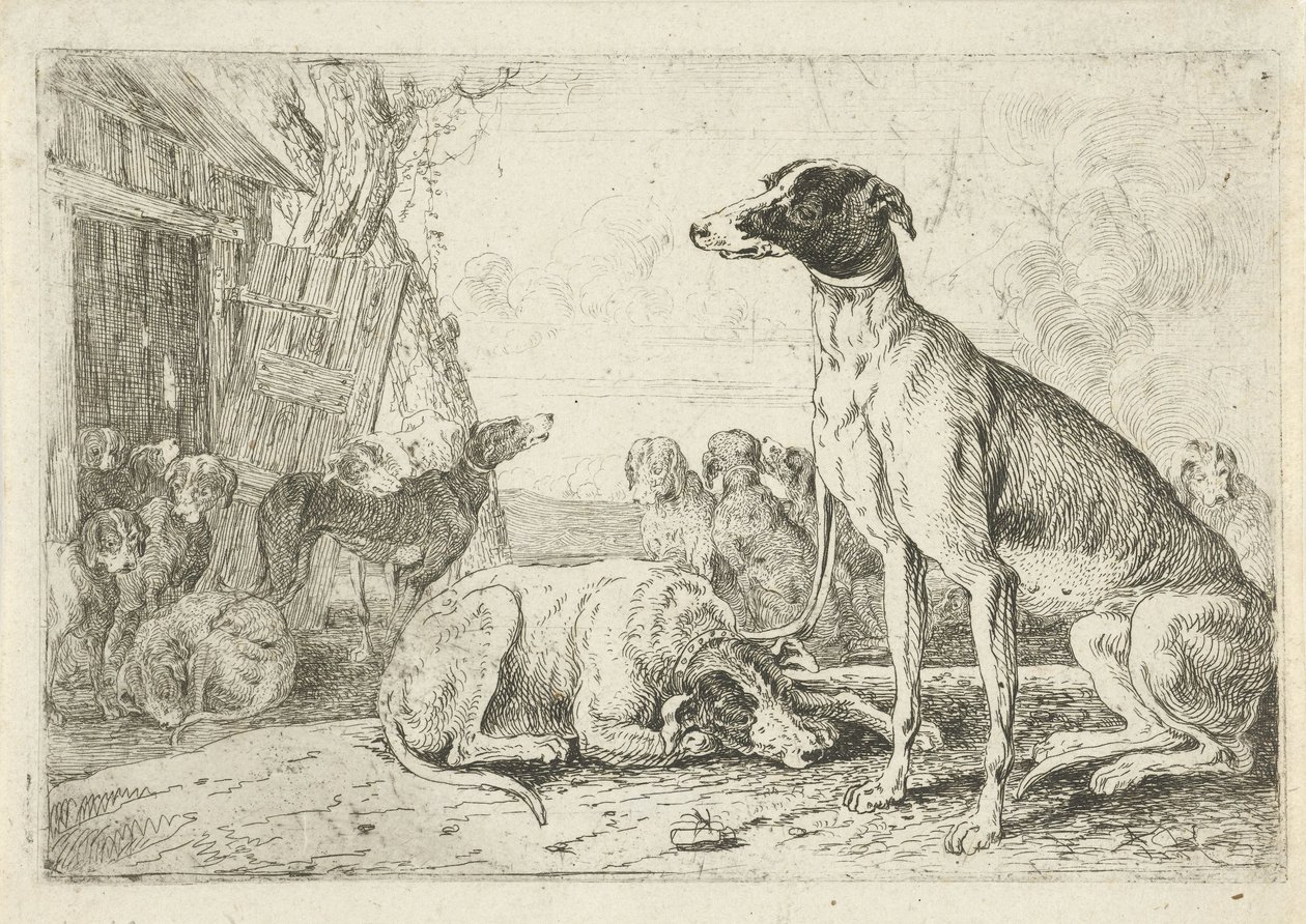 Canile da Jan van den Hecke