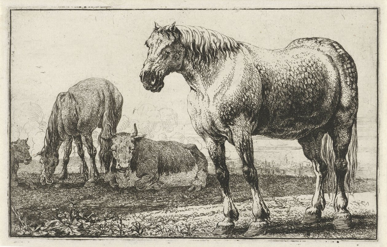 Cavalli e mucche da Jan van den Hecke