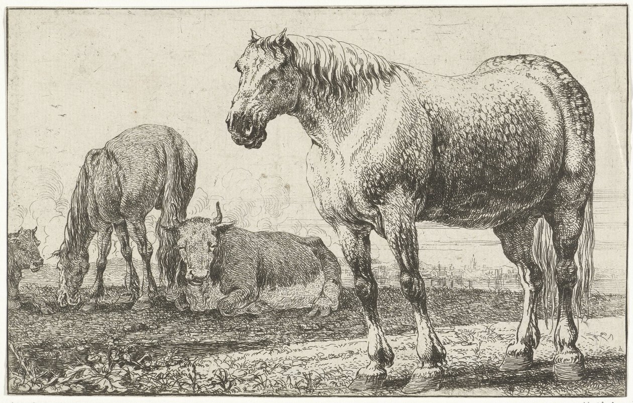 Cavalli e mucche da Jan van den Hecke