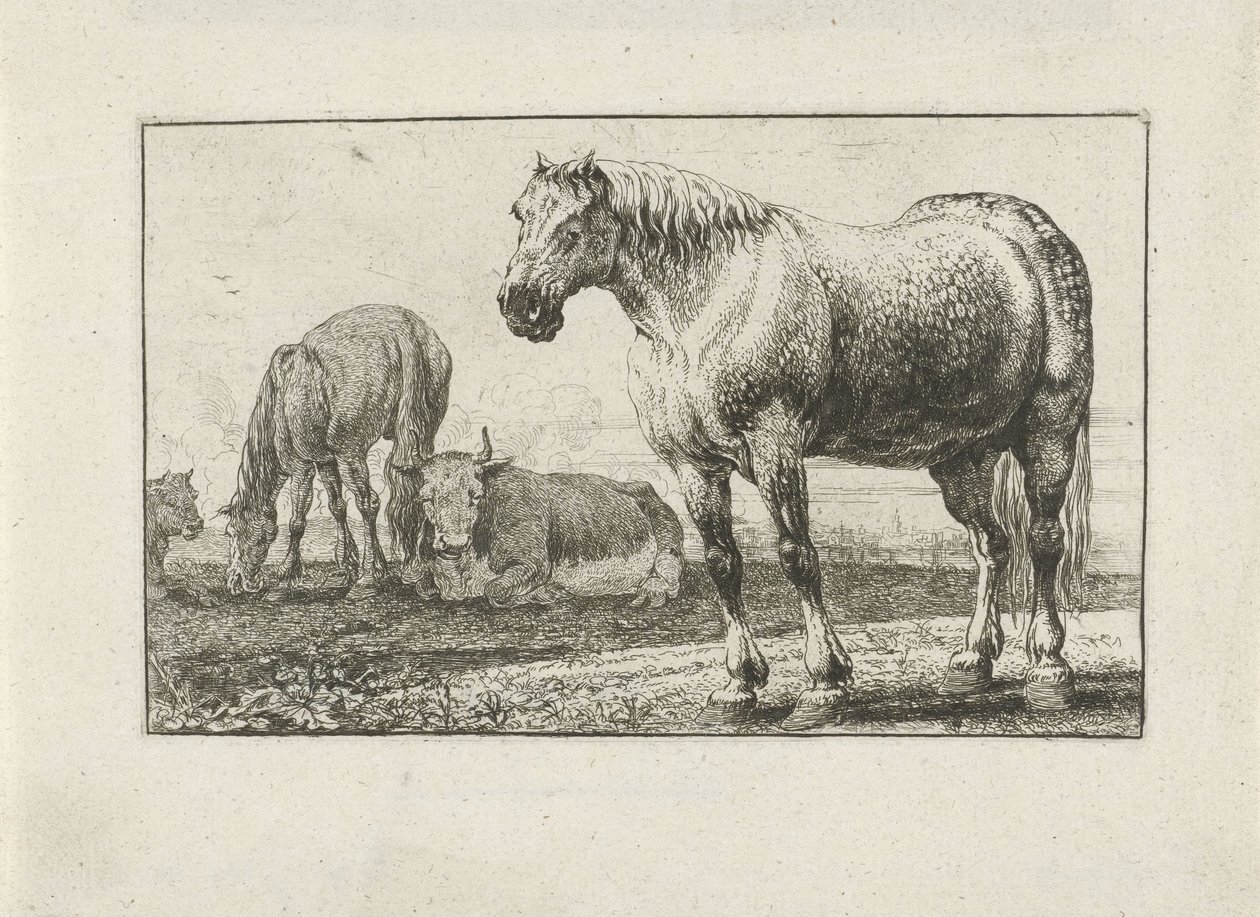 Cavalli e mucche da Jan van den Hecke